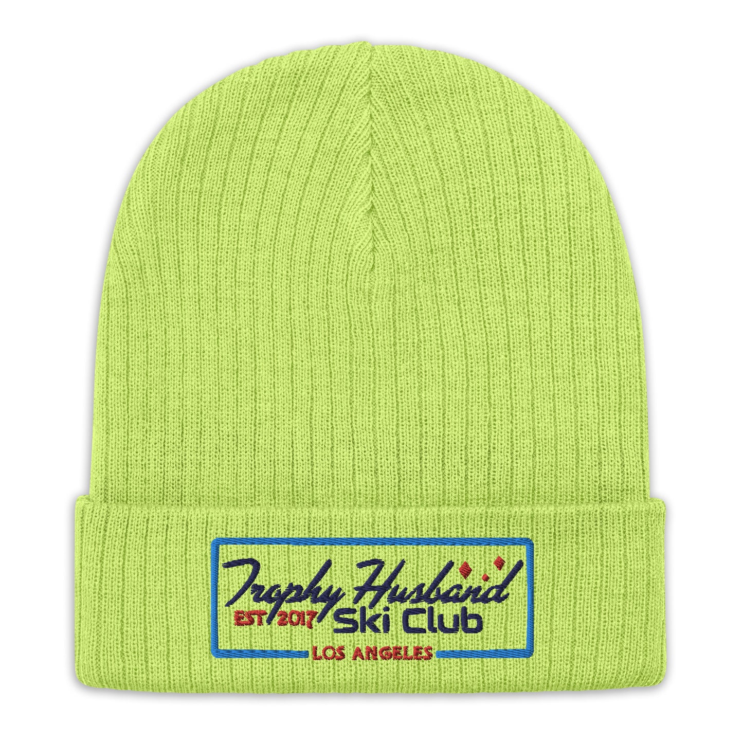 Fab THSC Ribbed Beanie