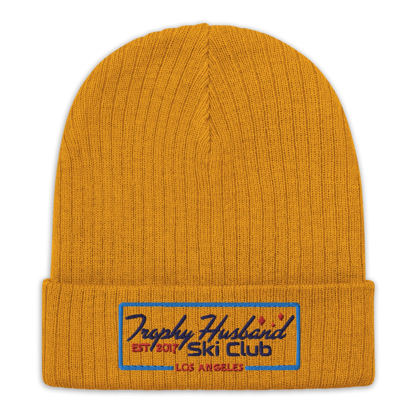 Fab THSC Ribbed Beanie